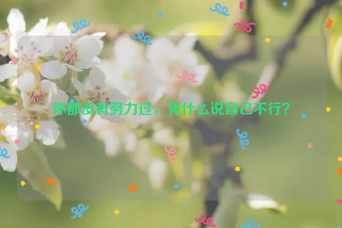 你都没有努力过，凭什么说自己不行？