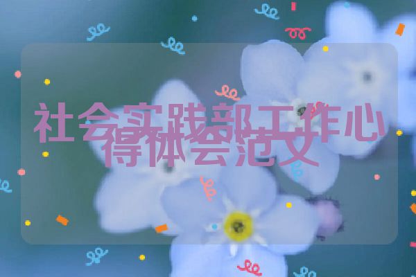 社会实践部工作心得体会范文
