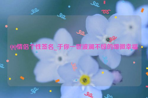 QQ情侣个性签名_于你一世波澜不惊的细微幸福