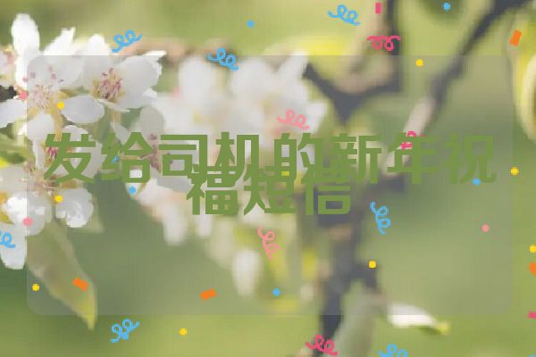 发给司机的新年祝福短信