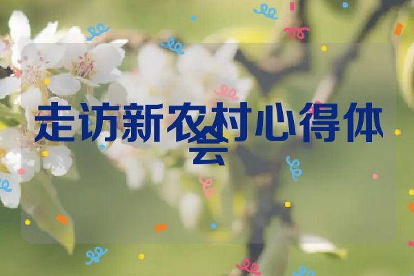 走访新农村心得体会