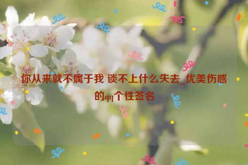 你从来就不属于我 谈不上什么失去_优美伤感的qq个性签名