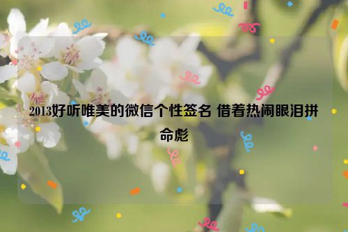 2013好听唯美的微信个性签名 借着热闹眼泪拼命彪