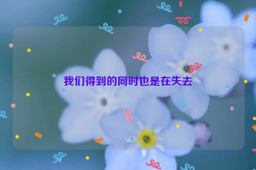 我们得到的同时也是在失去