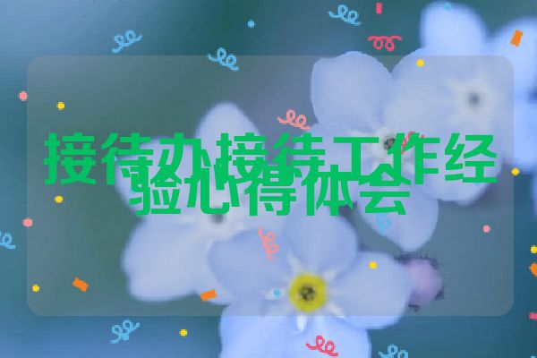 接待办接待工作经验心得体会