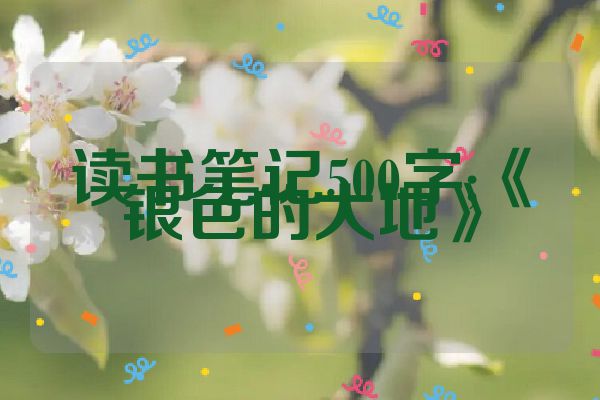 读书笔记500字;《银色的大地》