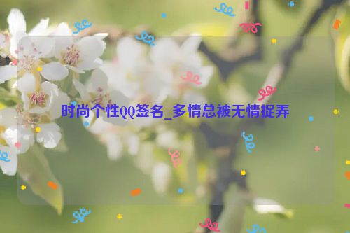 时尚个性QQ签名_多情总被无情捉弄