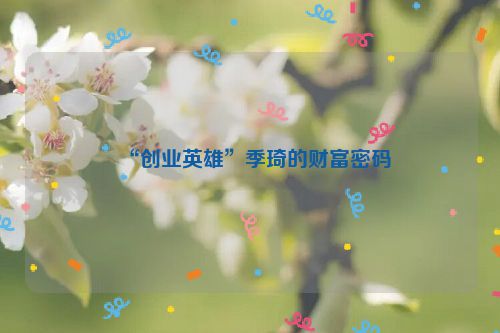“创业英雄”季琦的财富密码