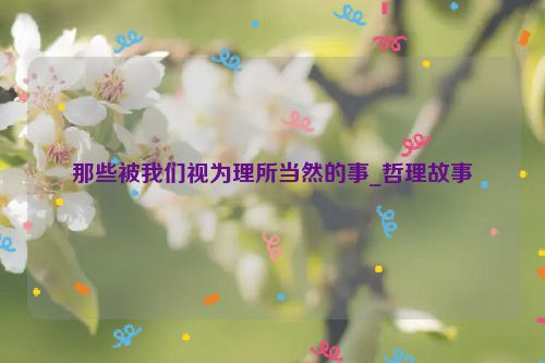 那些被我们视为理所当然的事_哲理故事