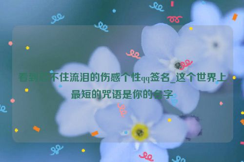看到忍不住流泪的伤感个性qq签名_这个世界上最短的咒语是你的名字