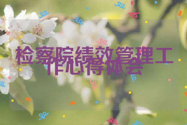 检察院绩效管理工作心得体会