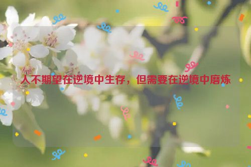 人不期望在逆境中生存，但需要在逆境中磨炼