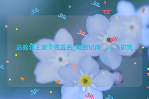 最眩非主流个性签名_唯独记得�m�A微笑
