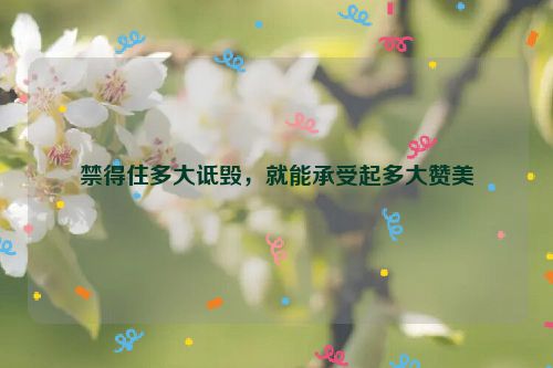 禁得住多大诋毁，就能承受起多大赞美