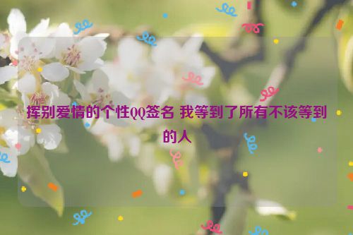 挥别爱情的个性QQ签名 我等到了所有不该等到的人