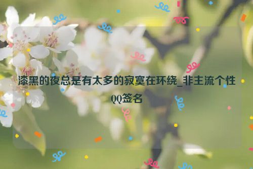 漆黑的夜总是有太多的寂寞在环绕_非主流个性QQ签名