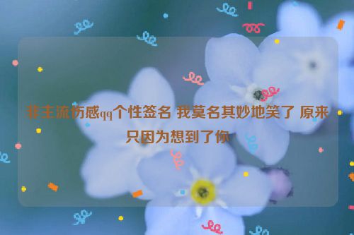 非主流伤感qq个性签名 我莫名其妙地笑了 原来只因为想到了你