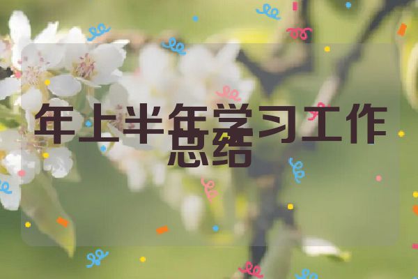 年上半年学习工作总结