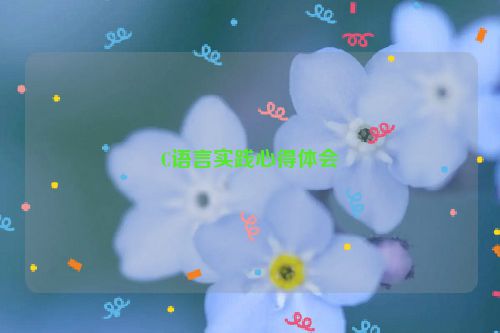 C语言实践心得体会