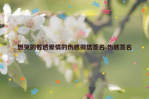 想哭的看透爱情的伤感微信签名-伤感签名