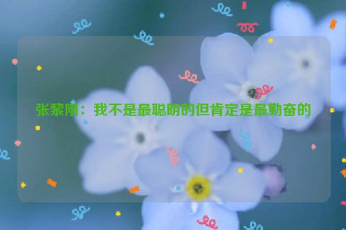 张黎刚：我不是最聪明的但肯定是最勤奋的