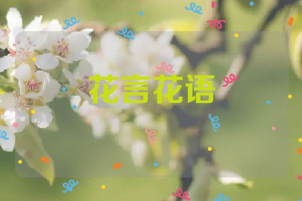 花言花语