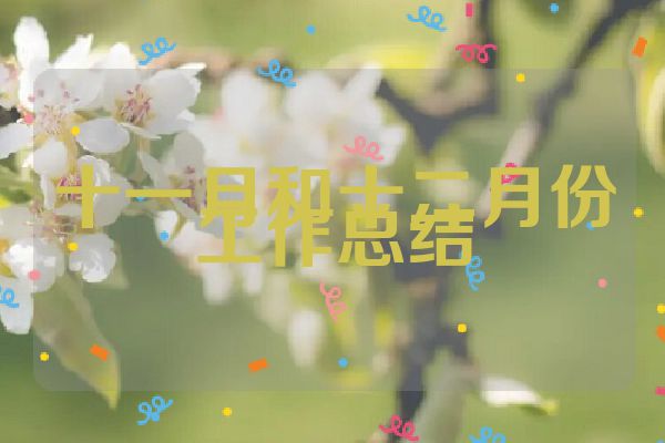 十一月和十二月份工作总结