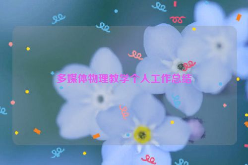 多媒体物理教学个人工作总结