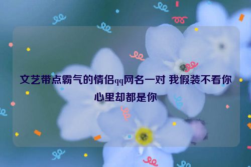 文艺带点霸气的情侣qq网名一对 我假装不看你心里却都是你
