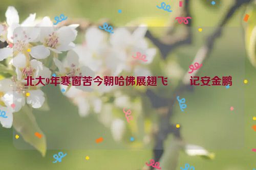 北大9年寒窗苦今朝哈佛展翅飞――记安金鹏