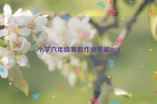 小学六年级寒假作业答案2024