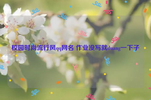 校园时尚流行风qq网名 作业没写就duang一下子