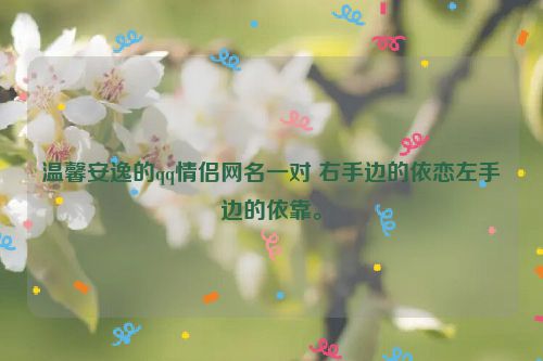 温馨安逸的qq情侣网名一对 右手边的依恋左手边的依靠。