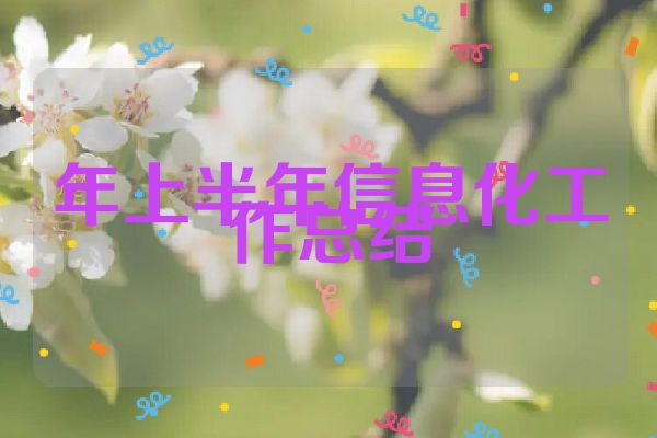年上半年信息化工作总结