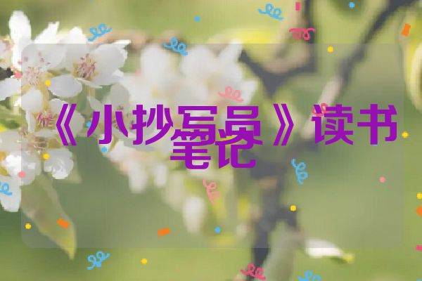 《小抄写员》读书笔记