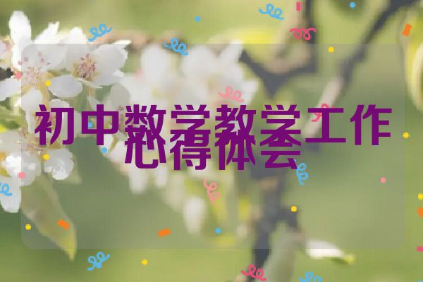 初中数学教学工作心得体会