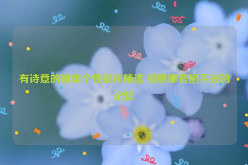 有诗意的唯美个性昵称精选 细数那些回不去的记忆