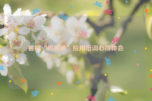 暑期“班班通”应用培训心得体会