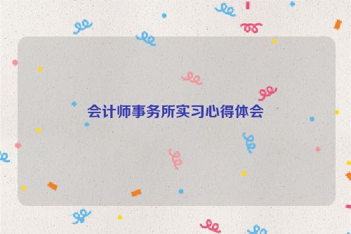 会计师事务所实习心得体会