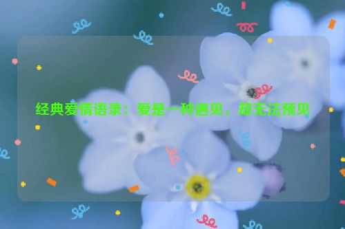 经典爱情语录：爱是一种遇见，却无法预见