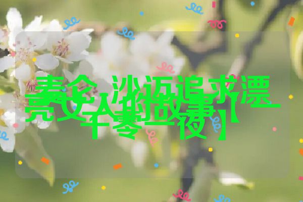 麦仑-沙迈追求漂亮女人的故事【一千零一夜】