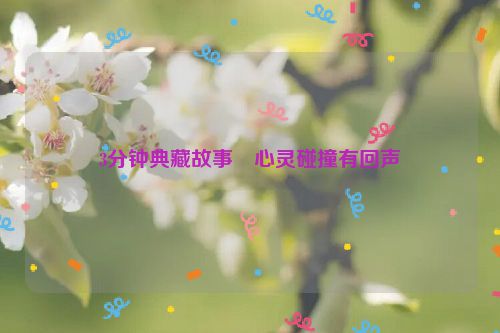 3分钟典藏故事・心灵碰撞有回声