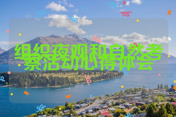 组织夜观和自然考察活动心得体会