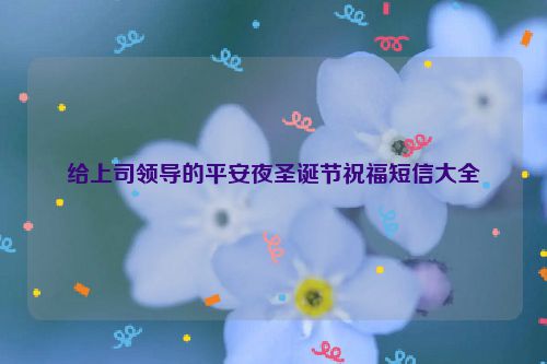 给上司领导的平安夜圣诞节祝福短信大全