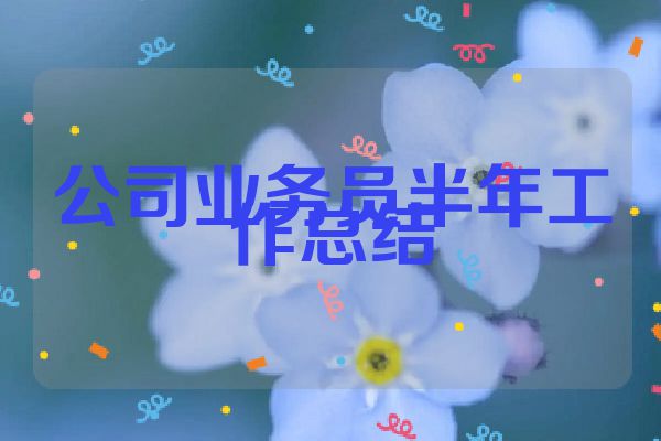 公司业务员半年工作总结
