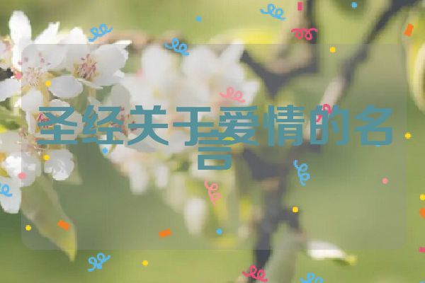 圣经关于爱情的名言