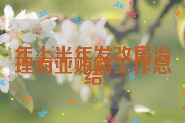 年上半年发改局治理商业贿赂工作总结