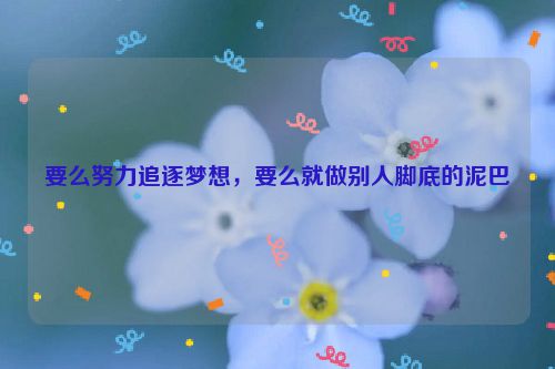 要么努力追逐梦想，要么就做别人脚底的泥巴