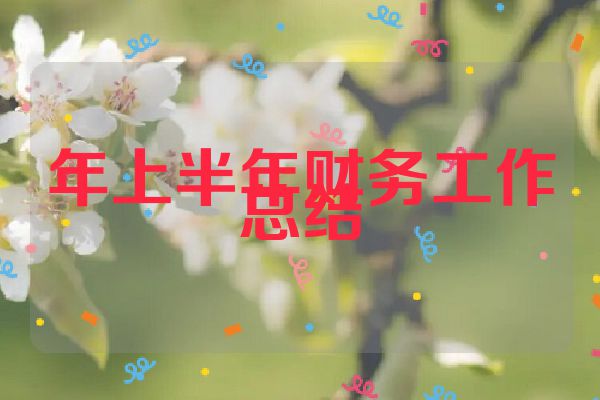 年上半年财务工作总结
