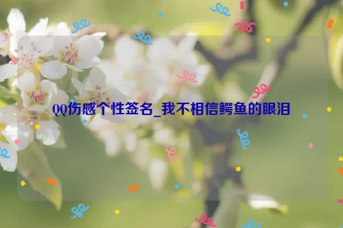 QQ伤感个性签名_我不相信鳄鱼的眼泪